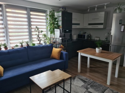 Nieruchomość 37 m²